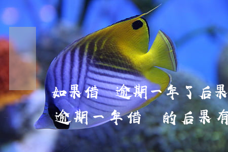 如果借唄逾期一年了后果還嚴重嗎會怎么樣，逾期一年！借唄的后果有多嚴重？